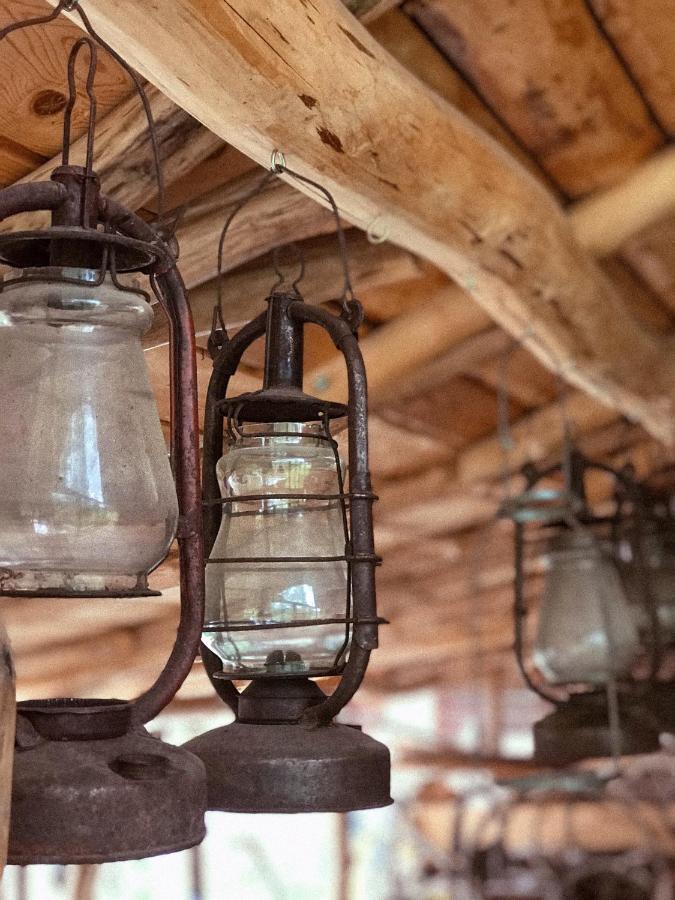 Vila Чорногірський Вітер Verchovyna Exteriér fotografie